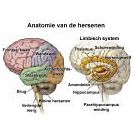 Reizen door de wonderlijke werelden van onze dromen (2) - 2