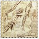 Een inspirerend studieboek over Leonardo da Vinci - 2