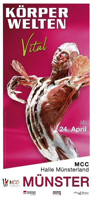 Körperwelten - Body Worlds toont de opbouw van de mens (1)