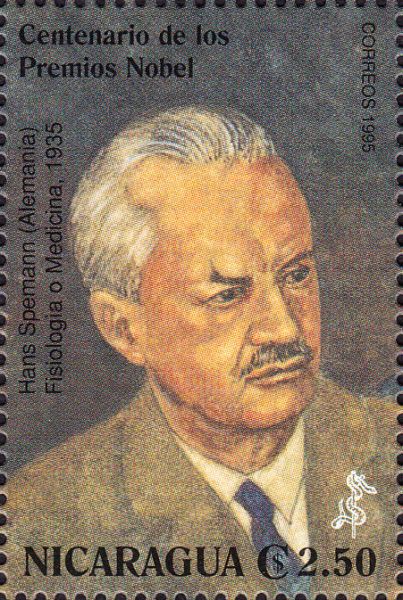 Hans Spemann (18691941) Optische Fenomenen