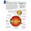 Alles over psychologie leren op aanschouwelijke manier (1) - 2