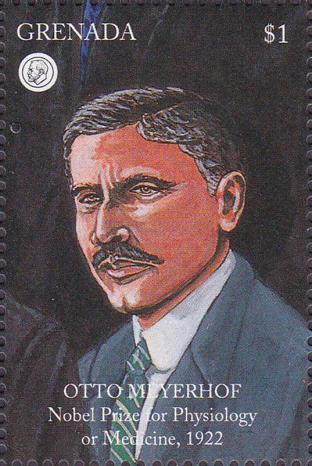 Otto Fritz Meyerhof (18841951) Optische Fenomenen