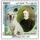 Samenvatting over het leven en werk van wetenschapper: Louis Pasteur (1822-1895) - 3