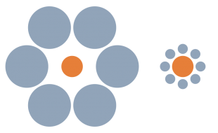 Ebbinghaus/Titchener Illusie