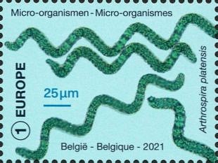 Filatelistische aandacht voor: Microscoop & Microscopie (66)