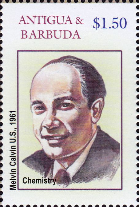 Melvin Calvin (19111997) Optische Fenomenen