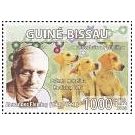 Samenvatting over het leven en werk van wetenschapper: Alexander Fleming (1881-1955)