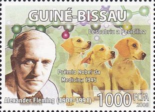 Samenvatting over het leven en werk van wetenschapper: Alexander Fleming (1881-1955)