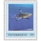 Het leven in oceanen in driedimensionaal beeld - 4
