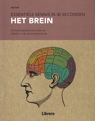 De belangrijkste theorieën en ideeën over de hersenen