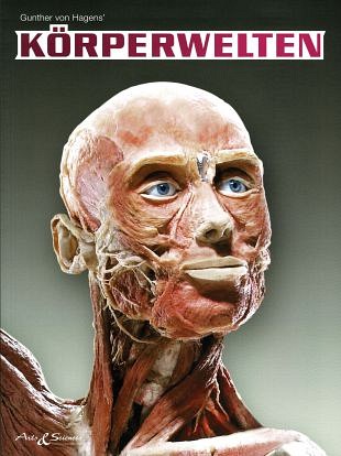 Körperwelten - Body Worlds toont de opbouw van de mens (3)