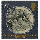 De theorie, de werking en het gebruik van lichtmicroscopen (2) - 4