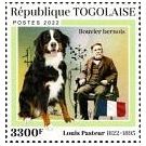 Filatelistische aandacht voor: Louis Pasteur (23) - 2