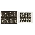 Eadweard Muybridge en de eerste bewegingsfotografie