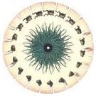 Samenvatting over het leven en werk van wetenschapper: Joseph Plateau (1801-1883) (1) - 4
