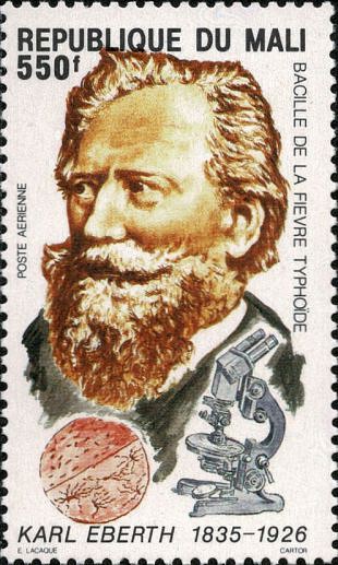 Karl Joseph Eberth (1835-1926)
