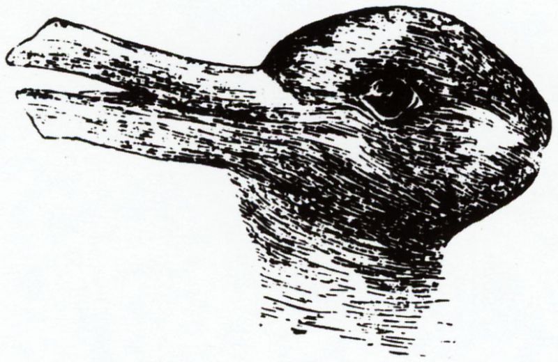eend-konijn-illusie - Fenomenen