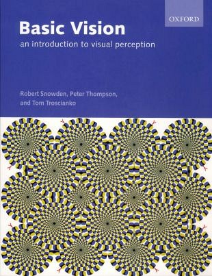 De grondbeginselen van visuele perceptie