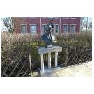 Volg vele sporen uit het leven en het werk van Robert Koch - 3