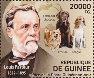 Filatelistische aandacht voor: Louis Pasteur (1)