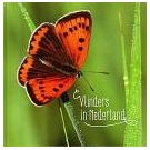 PostNL presenteert boek over vlinders in Nederland