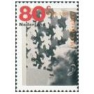 Islamitische tegelpatronen inspireerden M.C. Escher - 3