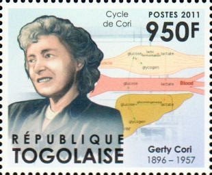 Gerty Cori (1896-1957)