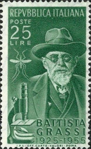 Filatelistische aandacht voor: Microscoop & Microscopie (43)