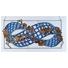 Mieren gevangen genomen in möbiusband van Escher