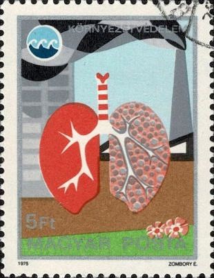 Filatelistische aandacht voor: Alexander Fleming (115)