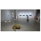 Een gezamenlijk welzijn op een uiterst kwetsbare aarde (3) - 2