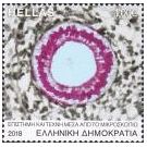 Microscopische onderzoeksmethoden in beeld gebracht (2) - 4