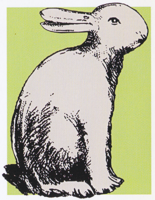 De eend-konijn-illusie