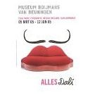 Salvador Dalí en de massamedia (1)